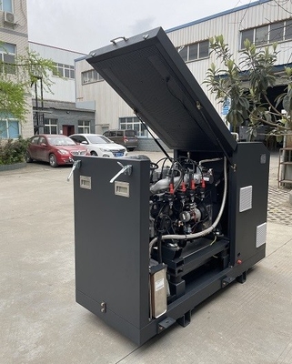 अच्छी कीमत High Efficiency CE Approved Micro Biogas CHP Mini Cogenerator Set Unit System 16kw 20kva ऑनलाइन