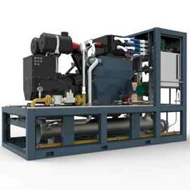 अच्छी कीमत 3 Phase Biogas Combined Heat And Power Systems 220KW 400V / 230V High Reliability ऑनलाइन