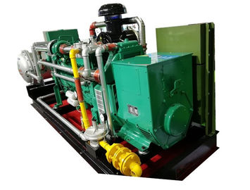 अच्छी कीमत 300KVA 250KW 60Hz Biogas CHP , Remote Monitoring CHP Cogeneration Systems ऑनलाइन